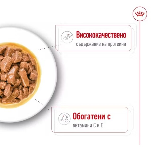 Royal Canin Medium Adult - Паучове за кучета от средни породи над 1г